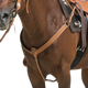 Westride - Collier de chasse Billy noisette | - Ohlala