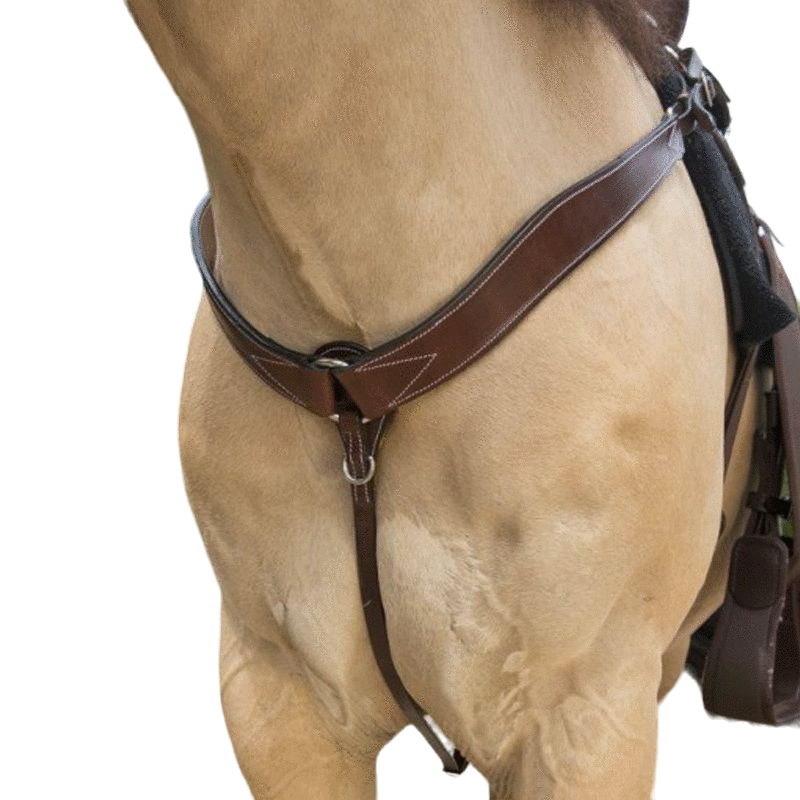 Westride - Collier de chasse Western Westride surpiqué havane