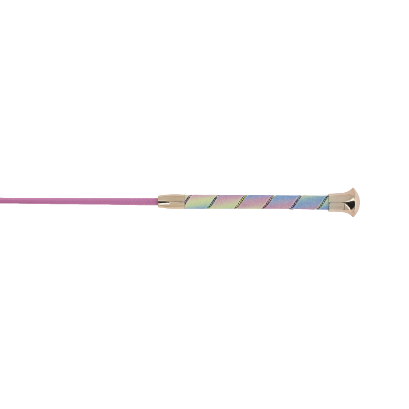 Whip&Go - Cravache Strassy arc en ciel