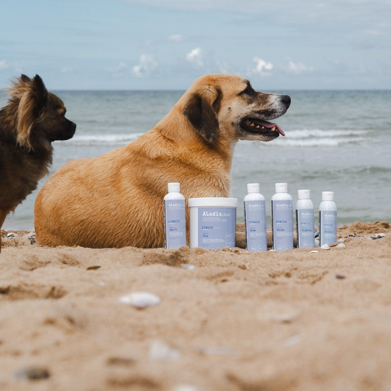 Alodis Care - Huile de massage Cani Recup pour chien