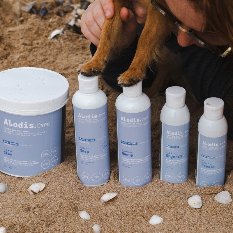 Alodis Care - Huile de massage Cani Recup pour chien