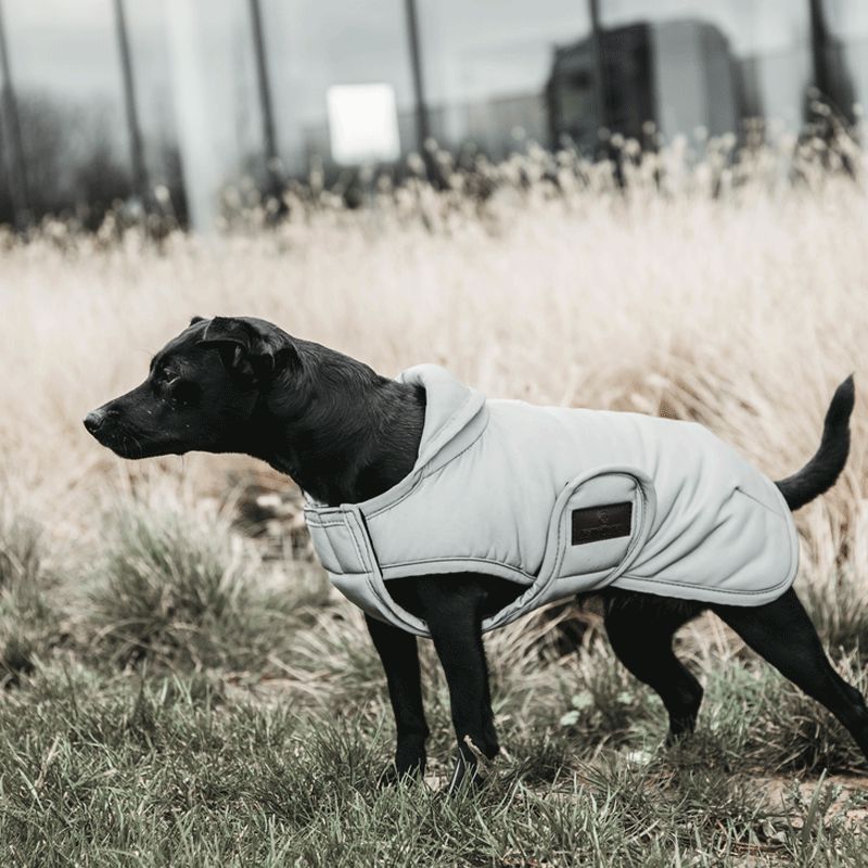 Kentucky Dogwear - Manteau pour chien réfléchissant & hydrofuge rabat de ventre 150g | - Ohlala