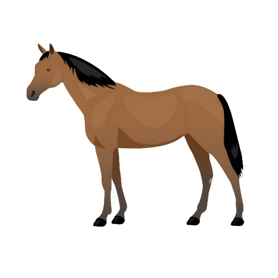 Cheval