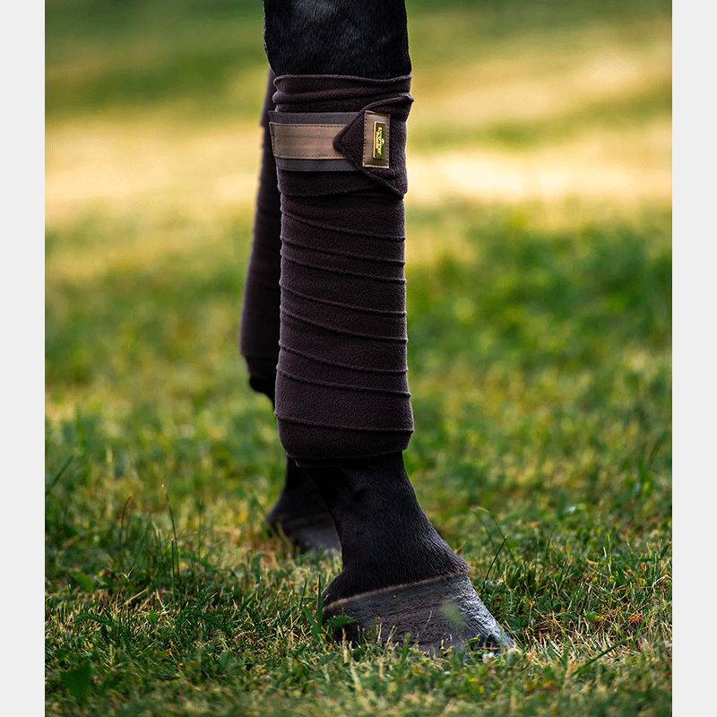 Equestrian Stockholm -  Bandes de Polo Golden brown | - Ohlala