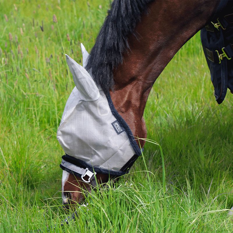 Horseware - Bonnet anti-insectes Amigo Fly Mask Argent / Marine | - Ohlala