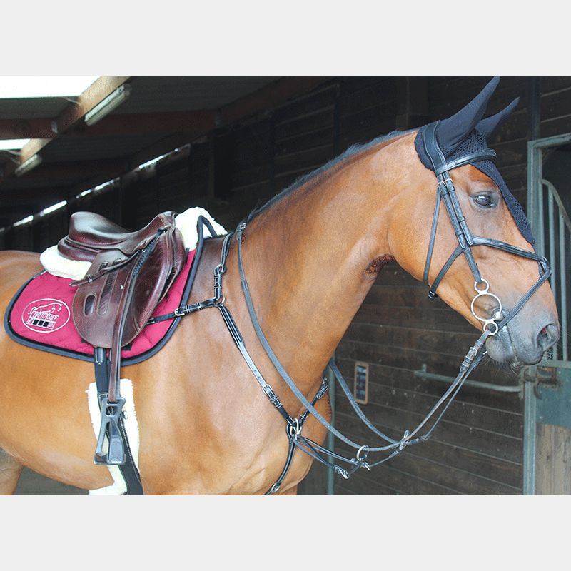 Pro Series - Bonnet pour chevaux long noir