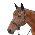 Canter - Gevoerd nylon halster marine | - Ohlala