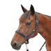 Canter - Licol nylon doublé marine | - Ohlala
