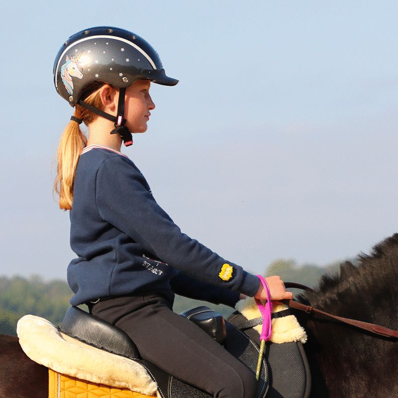 Casque équitation Adulte et Enfant - 520 gris/camel pour les clubs et  collectivités