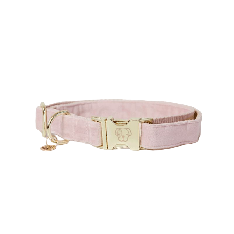 Kentucky Dogwear - Colliers pour chiens Velvet rose tendre | - Ohlala