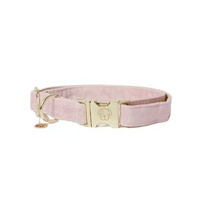 Kentucky Dogwear - Colliers pour chiens Velvet rose tendre | - Ohlala