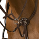 Norton - Collier de chasse pro Confort havane | - Ohlala