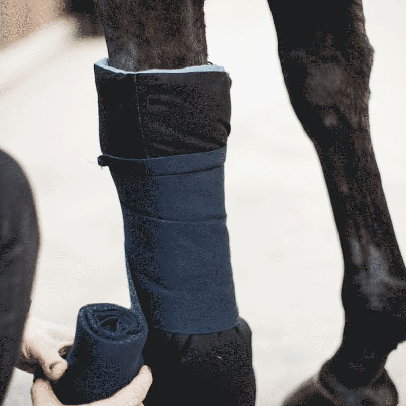 Kentucky Horsewear - Coton Américains Recuptex Noir | - Ohlala