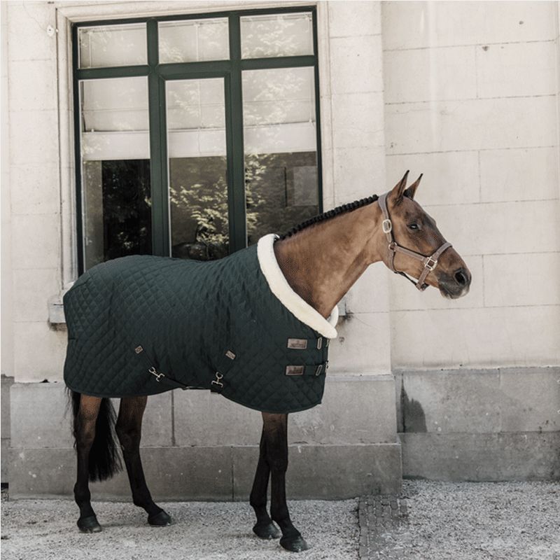 Kentucky Horsewear - Couverture de présentation 160g Vert | - Ohlala