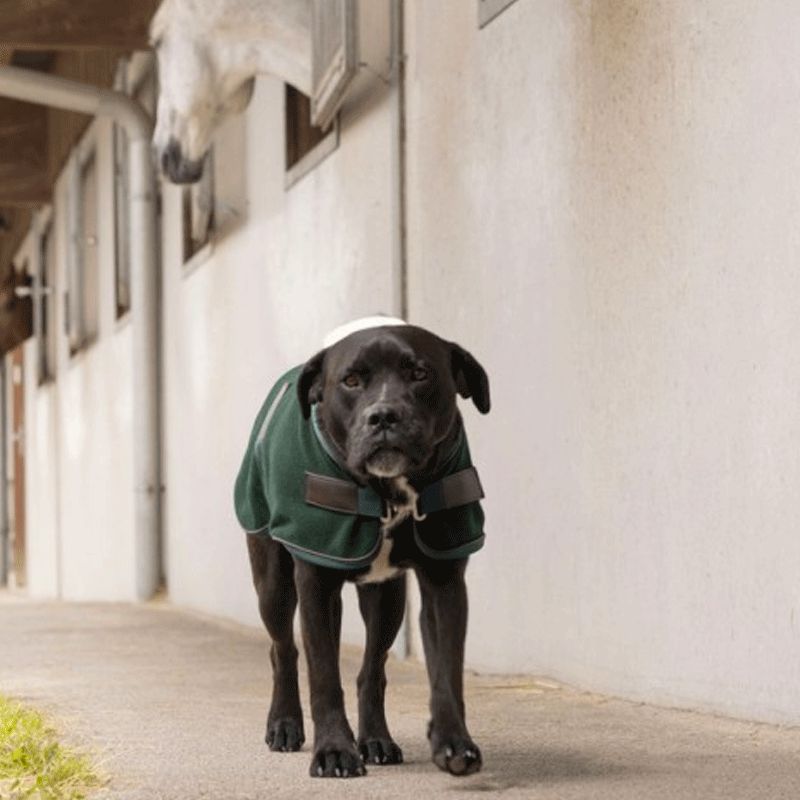 Diego & Louna - Couverture pour chien polaire vert | - Ohlala