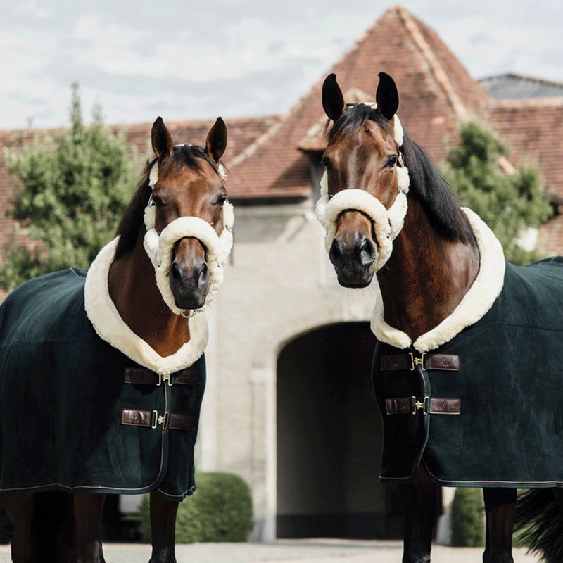 Kentucky Horsewear - Couverture séchante Show heavy verte | - Ohlala