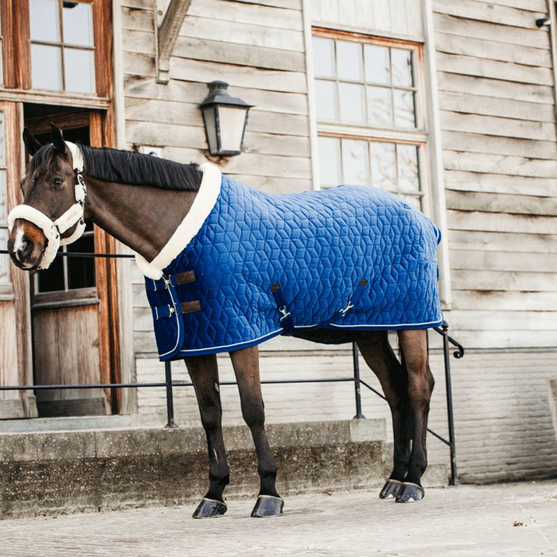 Kentucky Horsewear - Couverture de présentation velvet bleu marine 160g