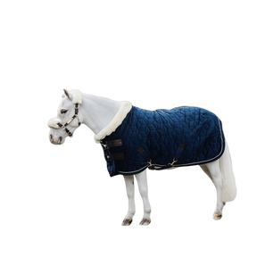 Kentucky Horsewear - Couverture de présentation velvet bleu marine pour minis 160g | - Ohlala