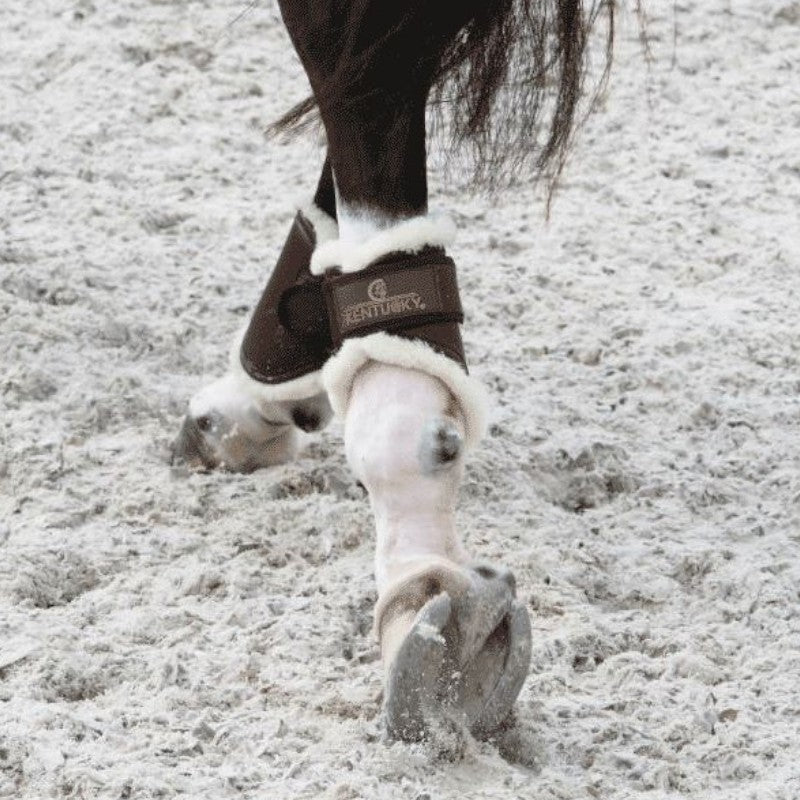 Kentucky Horsewear - Protège-boulets turnout cuir marron