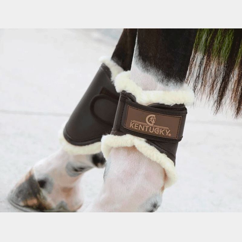Kentucky Horsewear - Protège-boulets turnout cuir marron | - Ohlala
