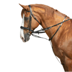 Norton Pro - Thiedemann-teugels zwart | - Ohlala