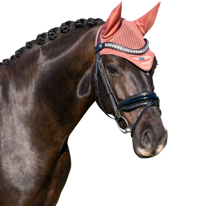Equestrian Stockholm - Bonnet pour chevaux Modern Coral