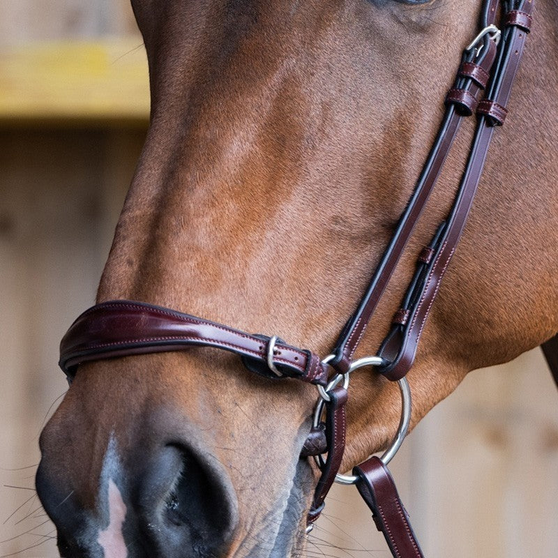 Jump'In - Muserolle allemande Evolution noisette