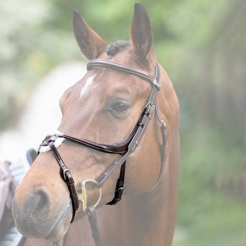 Jump'In - Muserolle croisée Evolution havane