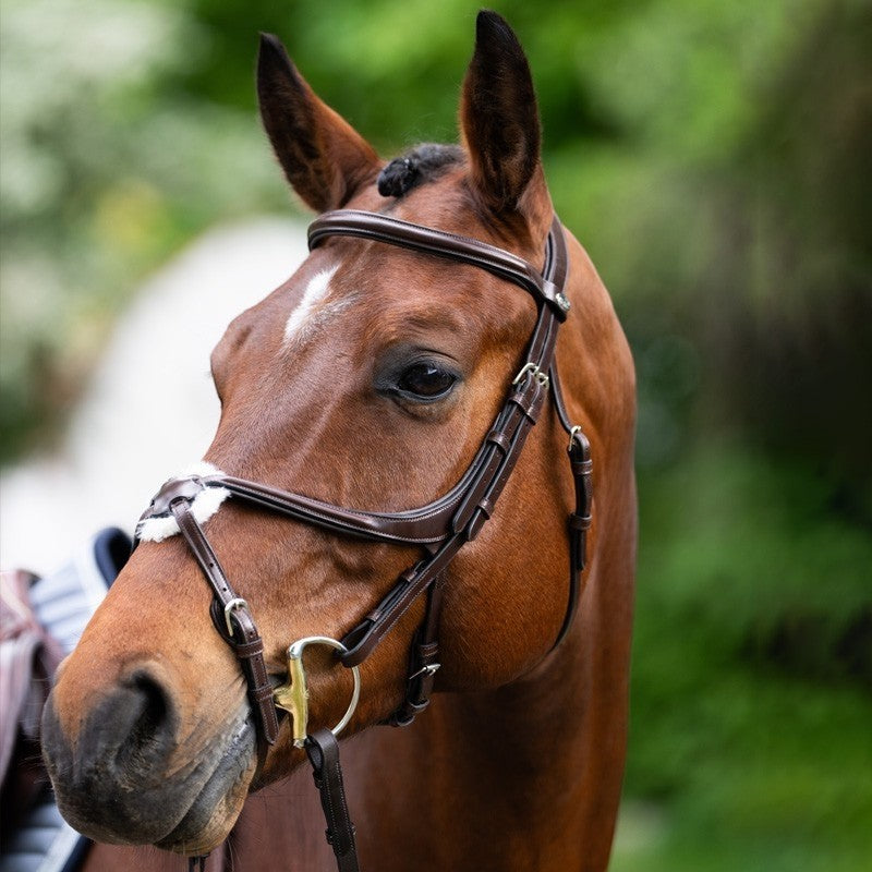 Jump'In - Muserolle croisée Evolution havane