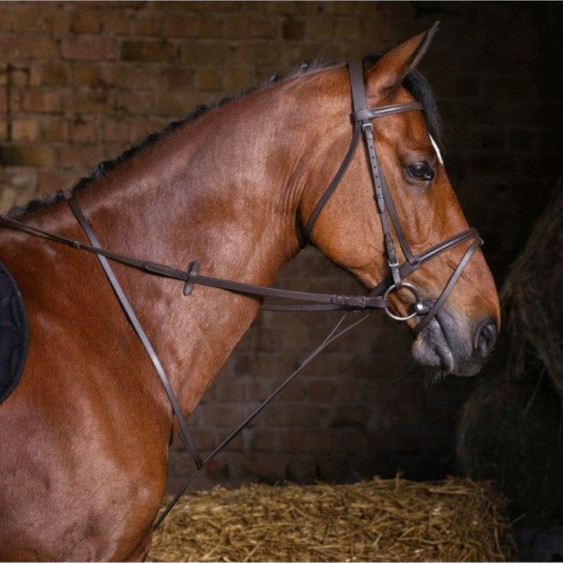 Riding World - Martingale à anneaux havane