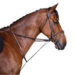 Riding World - Ringgortelborstel havana | - Ohlala