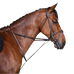 Riding World - Ringgortelborstel havana | - Ohlala