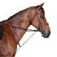 Riding World - Martingale à anneaux havane | - Ohlala