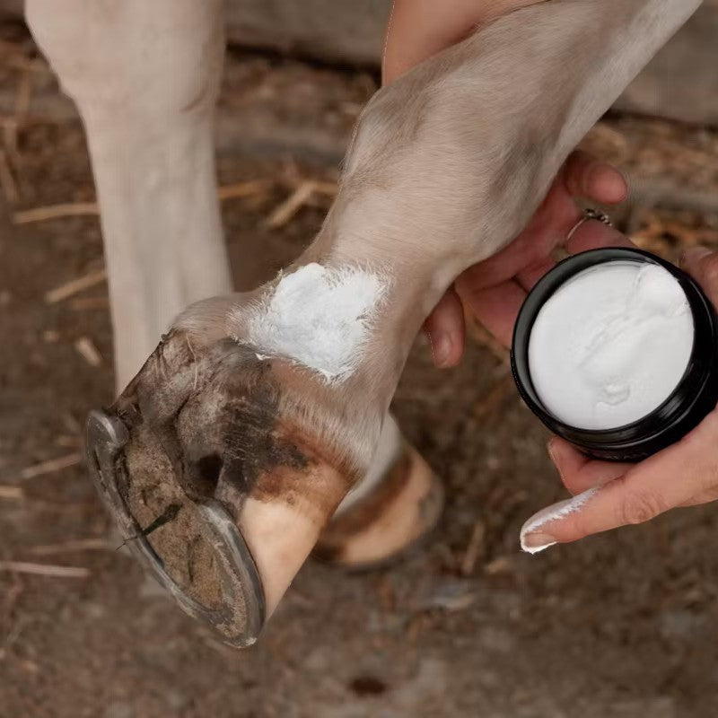 Grooming Deluxe - Crème Anti Gale de boue Mud Fever Plus