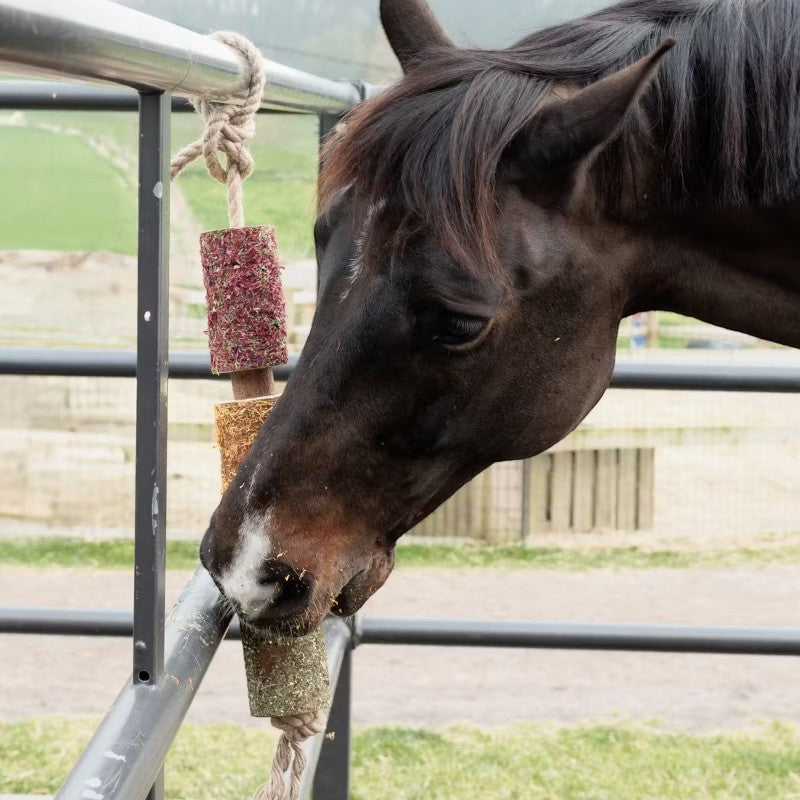 Grooming Deluxe - Jouet en bois relaxant pour cheval De-Stress