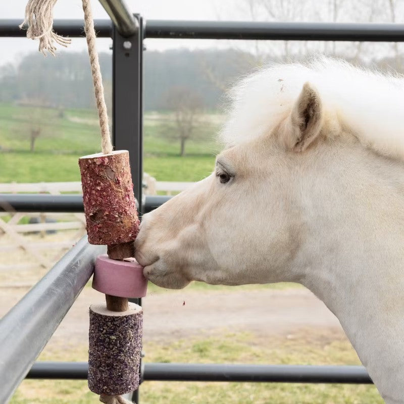 Grooming Deluxe - Jouet en bois relaxant pour cheval avec pierre à sel Sammy