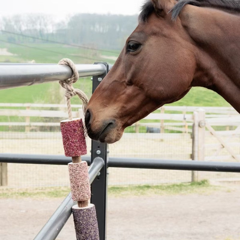 Grooming Deluxe - Jouet en bois relaxant pour cheval Unicorn Joy