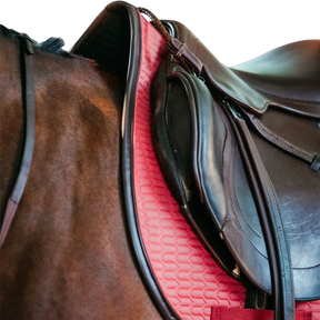 Kentucky Horsewear - Tapis de selle color edition cuir corail | - Ohlala