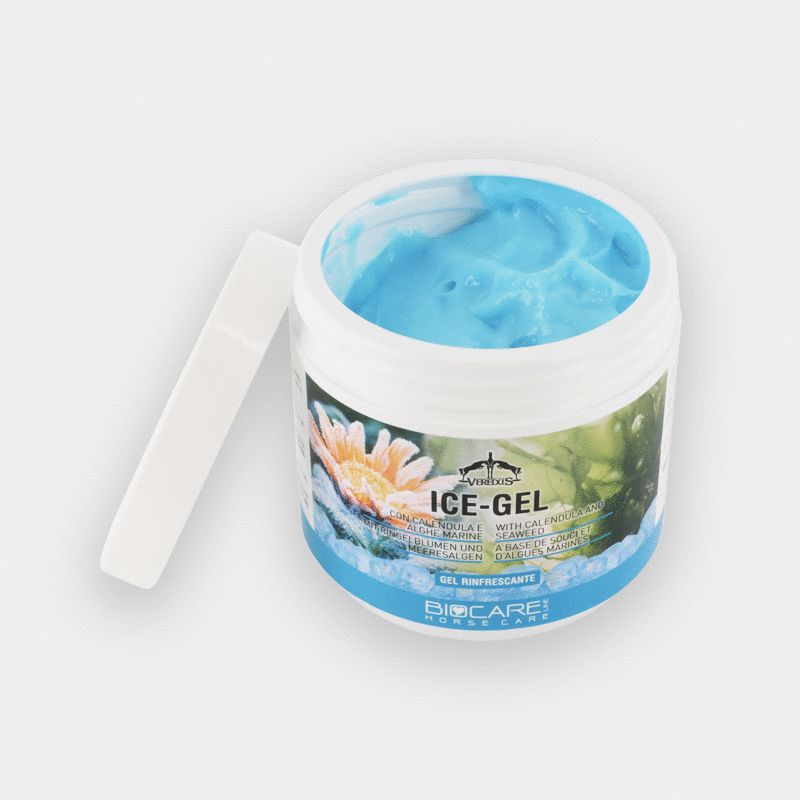 Veredus - Gel refroidissant Ice Gel 500 ml | - Ohlala
