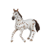 PAPO - Appaloosa merrie | - Ohlala