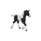 Papo - Poulain COB irlandais noir | - Ohlala