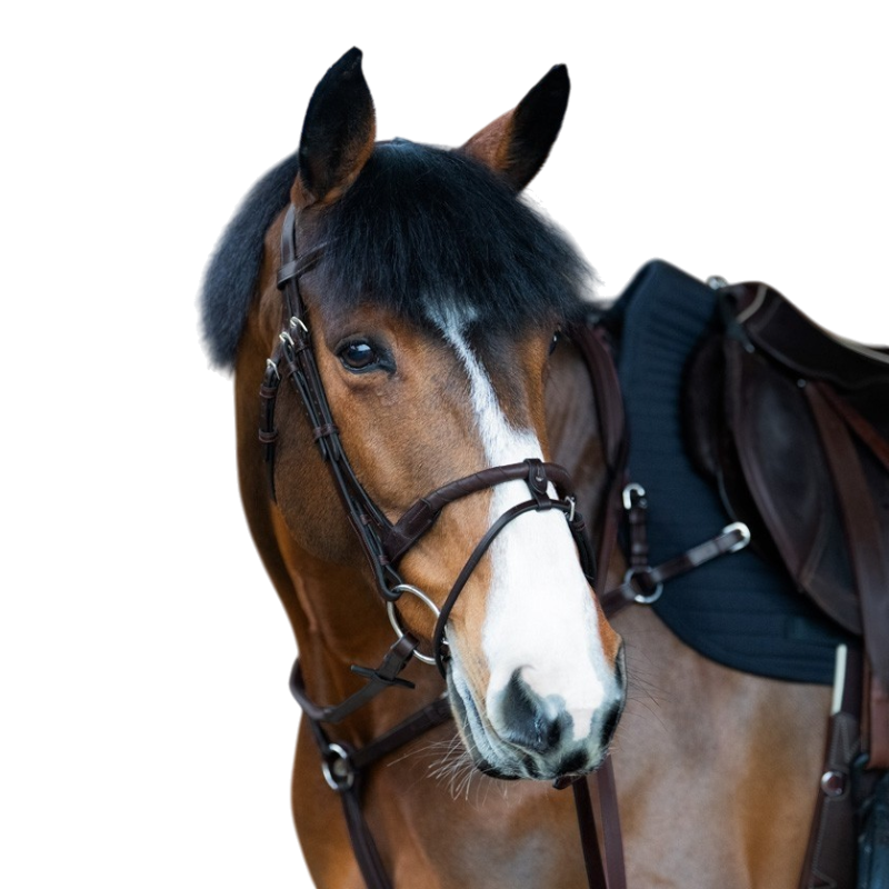 Jump'In - Bridon muserolle combinée corde Evolution havane | - Ohlala