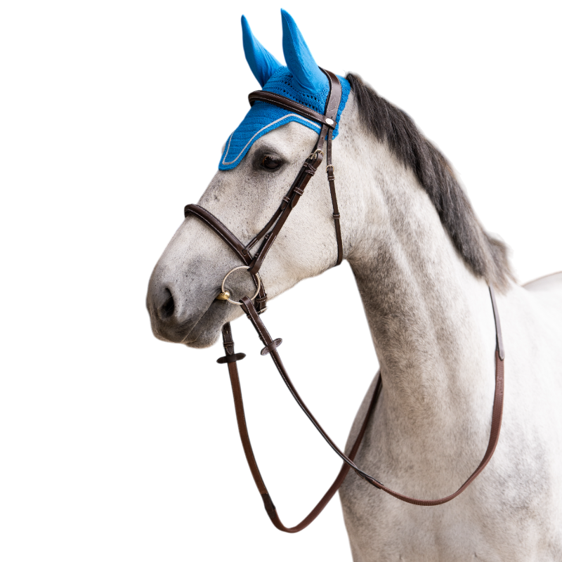 Jump'In - Bonnet pour chevaux Balthazar bleu royal/ lurex | - Ohlala
