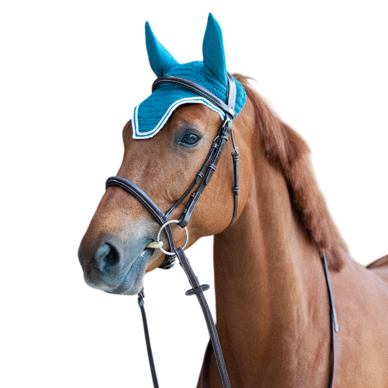 Jump'In - Bonnet pour chevaux Balthazar lagon/ blanc