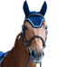 Jump'In - Bonnet pour chevaux Balthazar marine/ lurex | - Ohlala