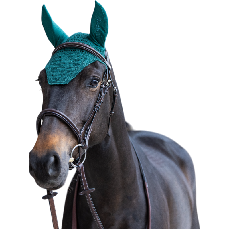 Jump'In - Bonnet pour chevaux Balthazar vert/ vert