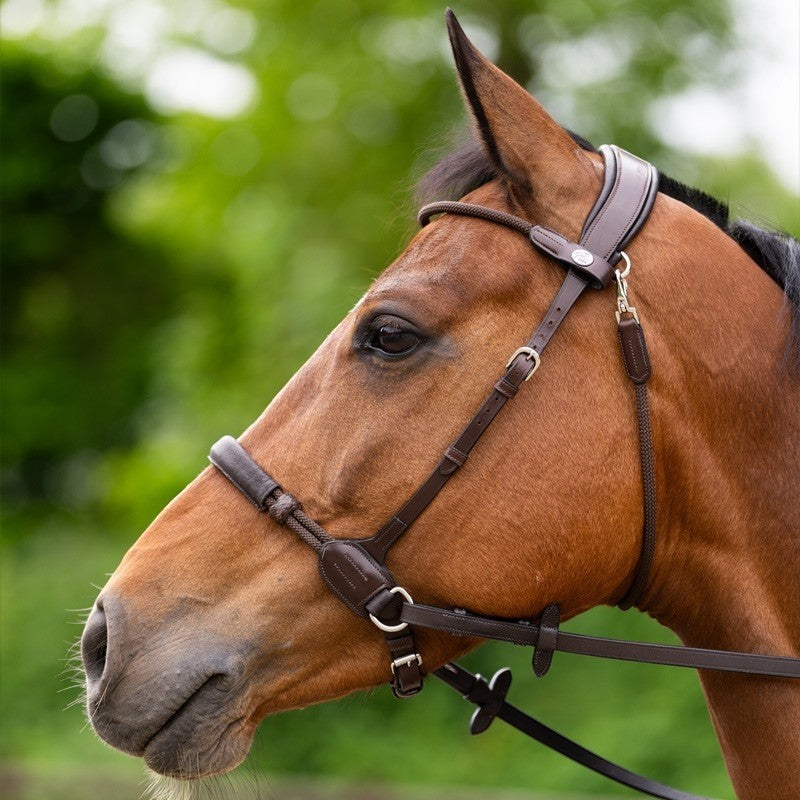 Jump'In - Bridon bitless Evolution havane | - Ohlala