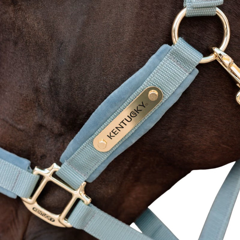 Kentucky Horsewear - Licol Velvet light blue