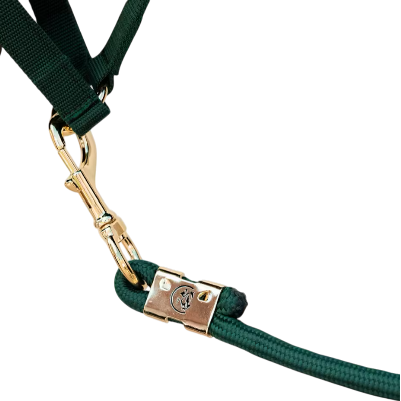 Kentucky Horsewear - Longe Rope Basic pine green 2m