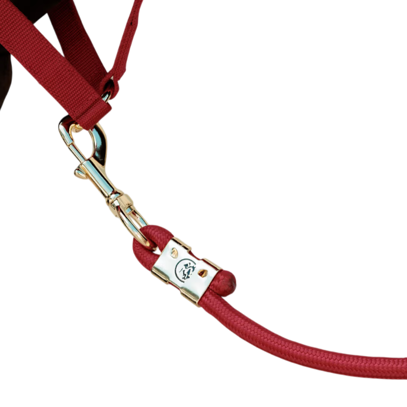 Kentucky Horsewear - Longe Rope Basic rouge 2m | - Ohlala